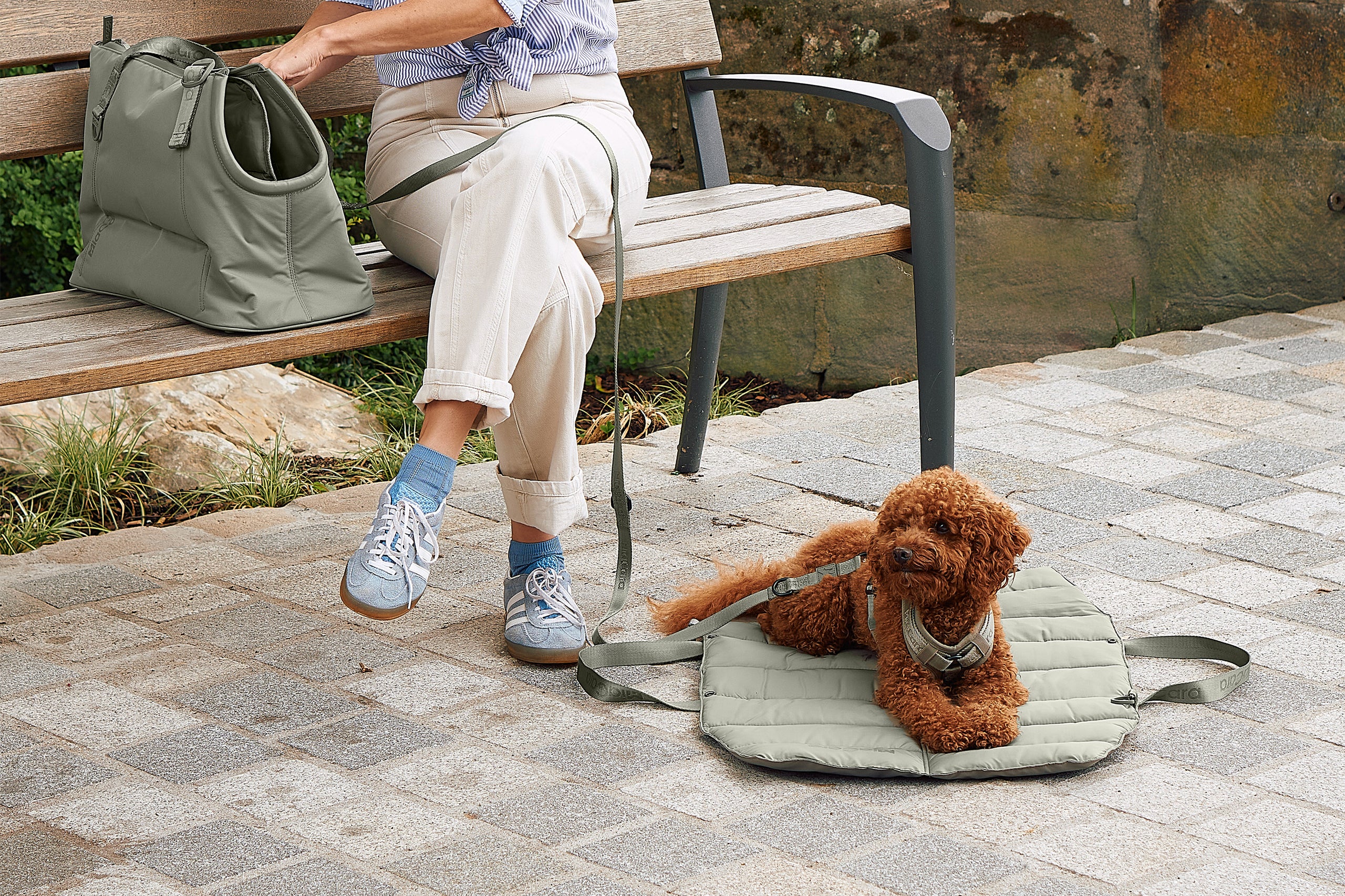 Design für Hund und Katze